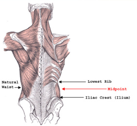 Measure Waist Circumference